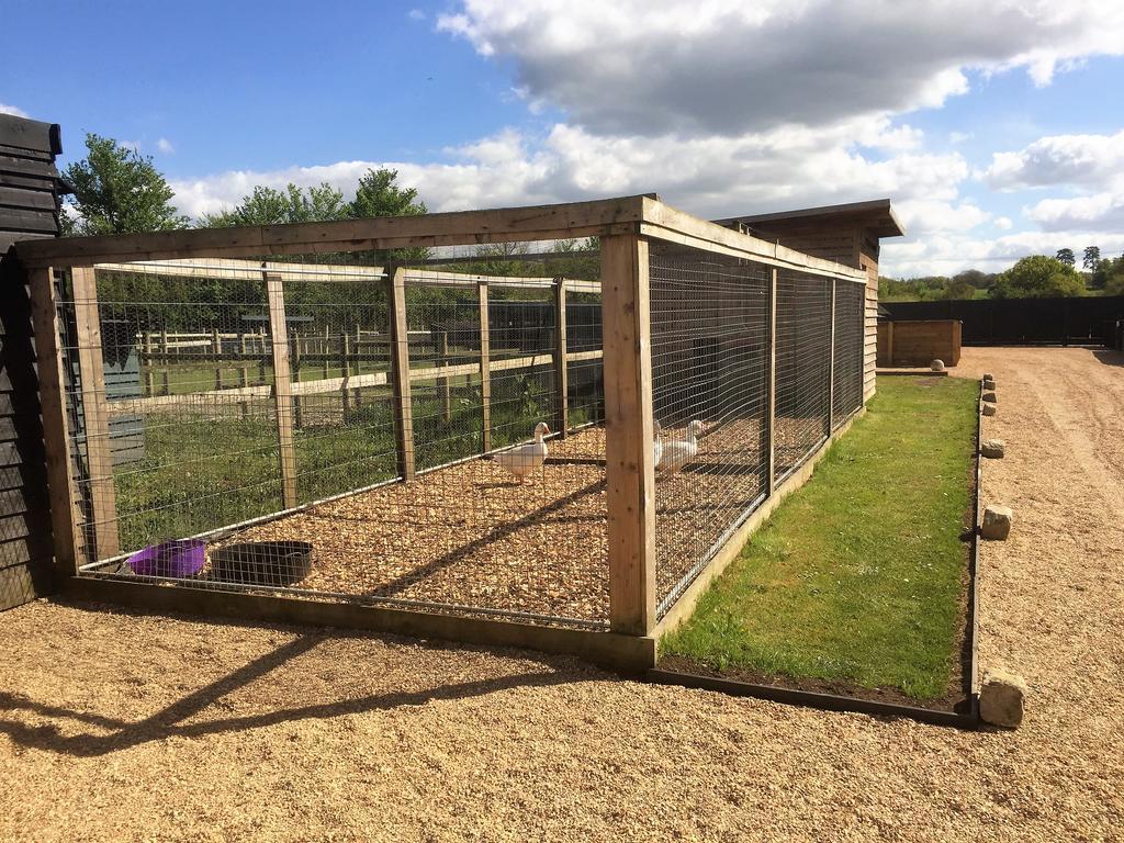 Willow Court Farm Studio South & Petting Farm, 8 Mins From Legoland & Windsor, 15 Mins From Lapland Uk Extérieur photo