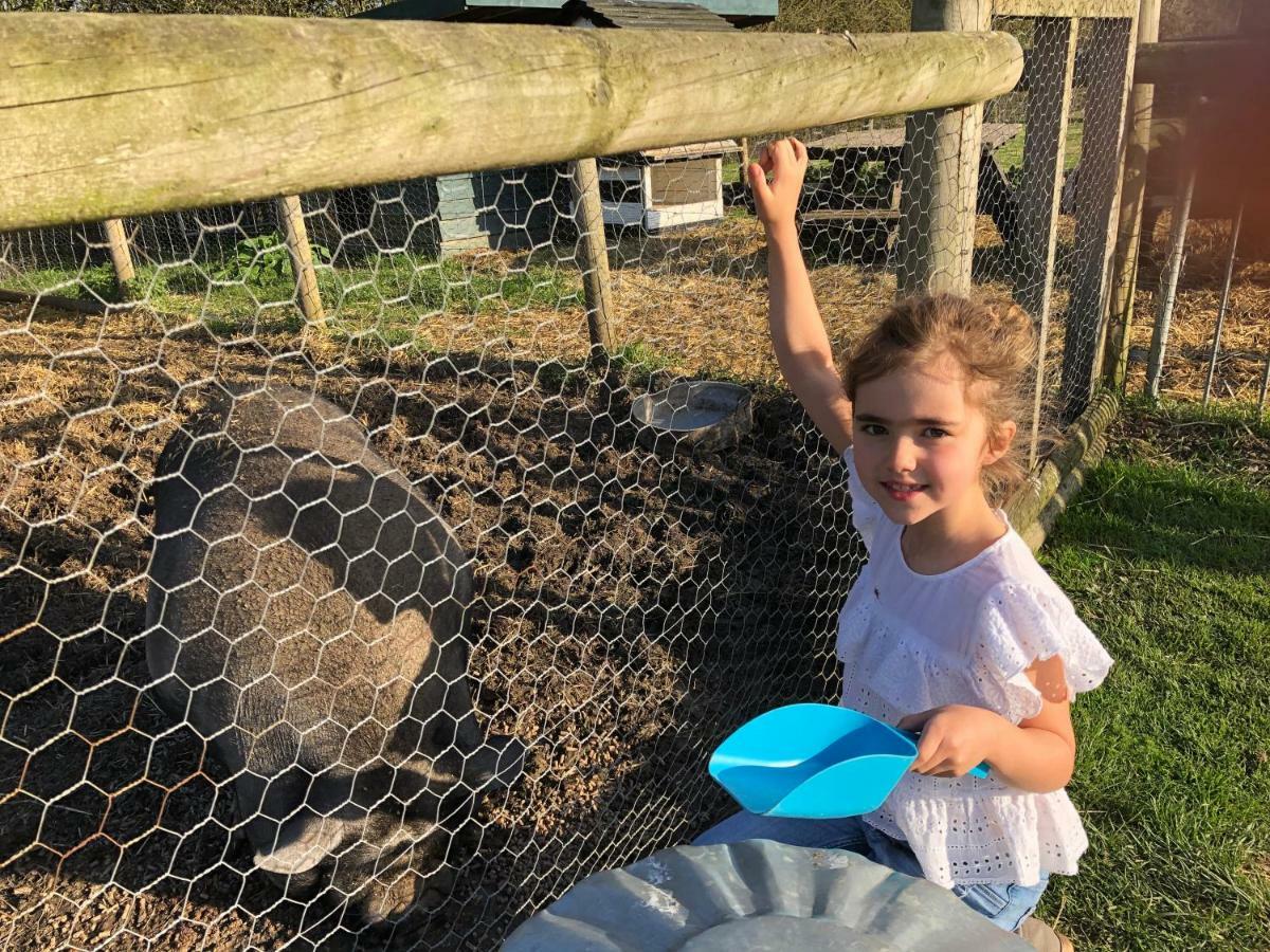 Willow Court Farm Studio South & Petting Farm, 8 Mins From Legoland & Windsor, 15 Mins From Lapland Uk Extérieur photo
