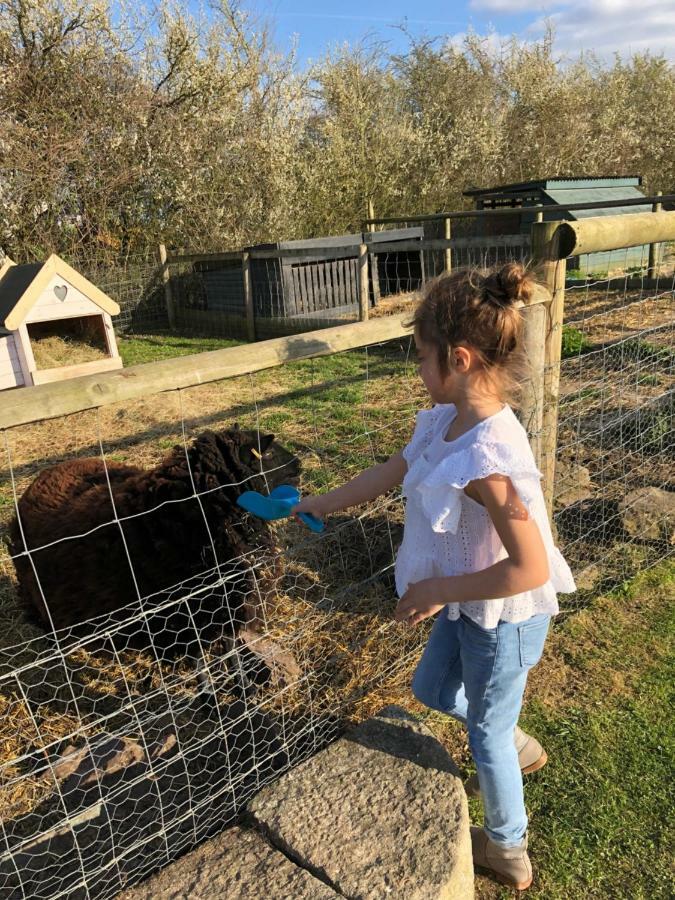 Willow Court Farm Studio South & Petting Farm, 8 Mins From Legoland & Windsor, 15 Mins From Lapland Uk Extérieur photo