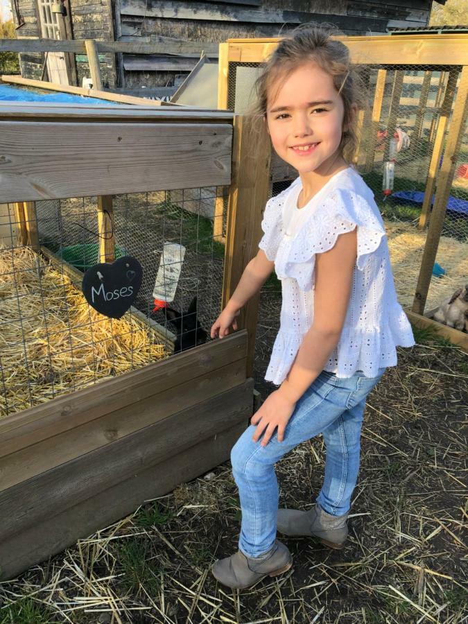 Willow Court Farm Studio South & Petting Farm, 8 Mins From Legoland & Windsor, 15 Mins From Lapland Uk Extérieur photo
